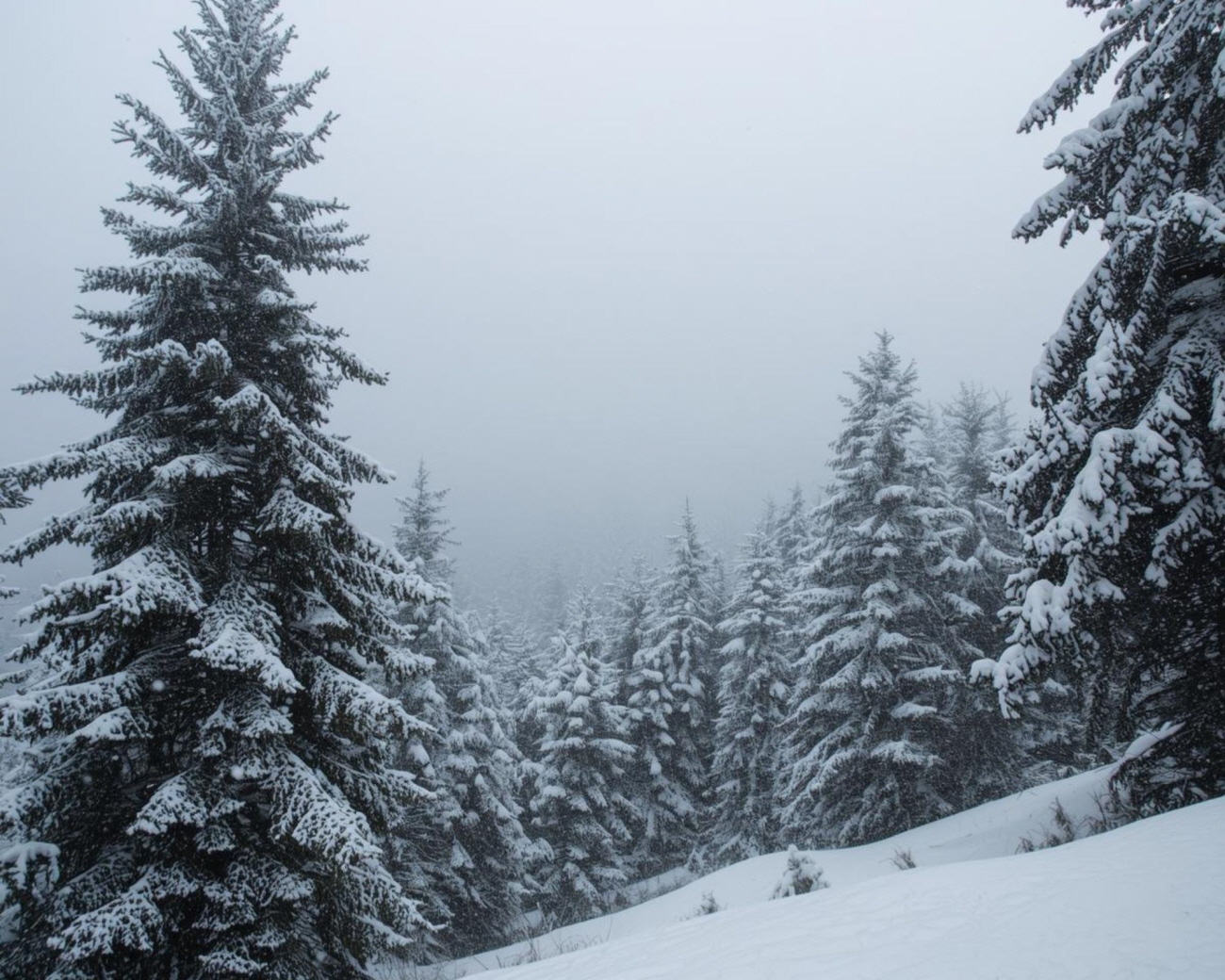 /user/g/gunjacare/editor/2601/5b31b214f2be3648677fa171849fc6dc_1769734059_4729.jpg 이미지크게보기